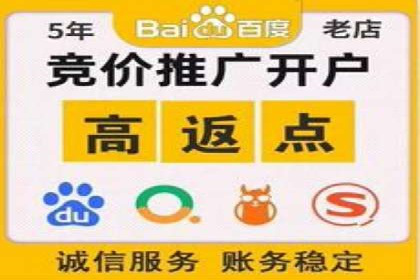 某电商平台SEM竞价广告的转化率提升案例